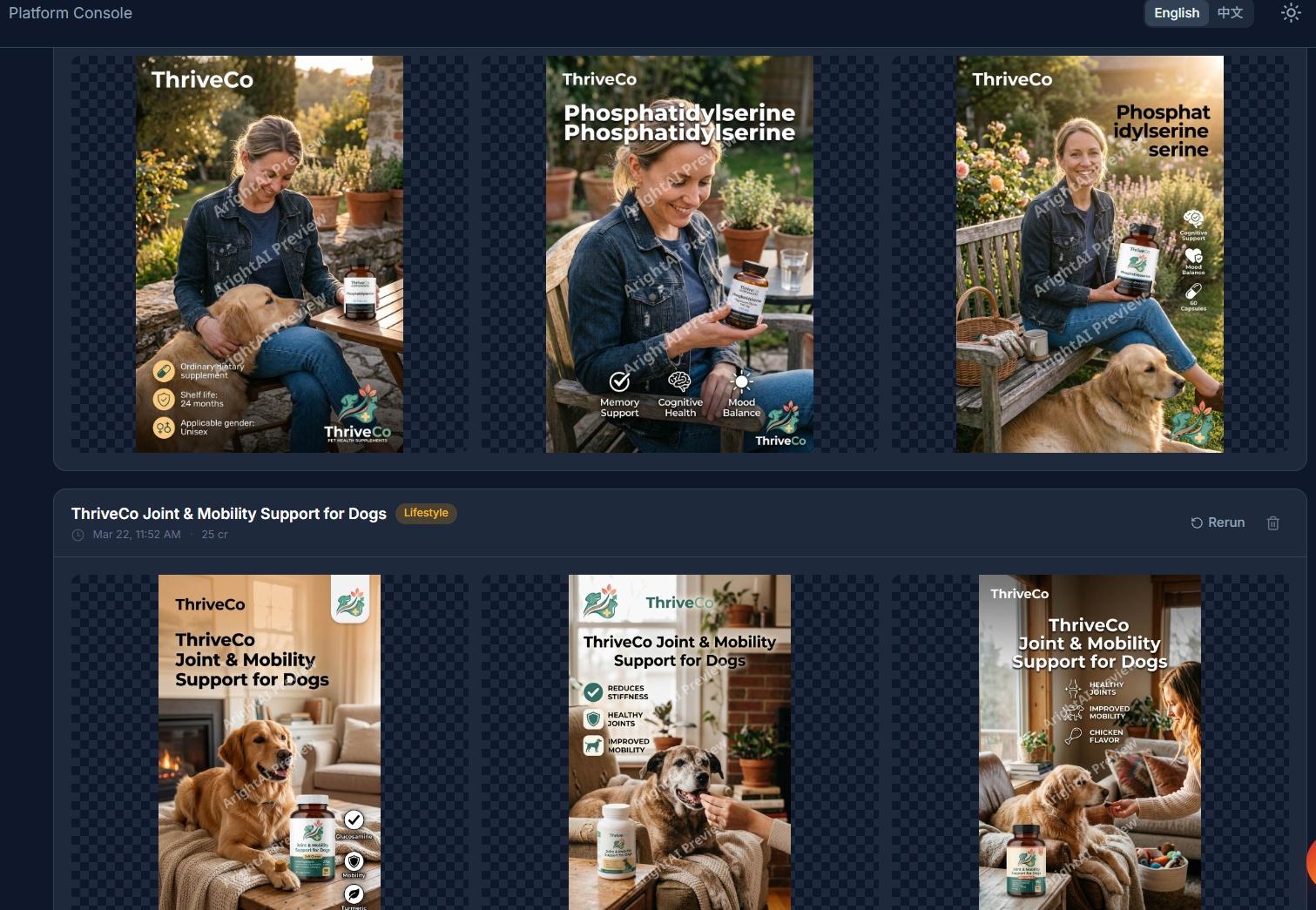 Lifestyle photography: a pet supplement brand shown across six lifestyle scenes — same model, same brand colourway, same lighting language, different scene per variation.